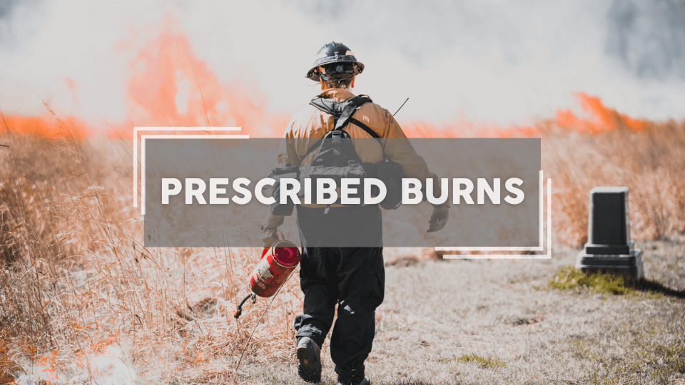 Prescribed Burns to Take Place in the Coming Week